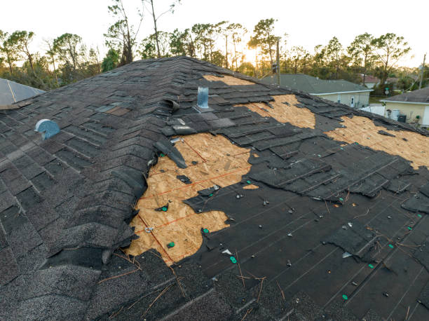Best Asphalt Shingle Roofing  in Viola, NY